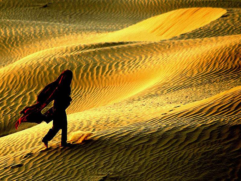 塔爾沙漠 Thar Desert