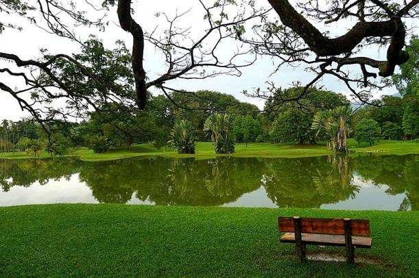 太平湖公園 Taiping Lake Gardens