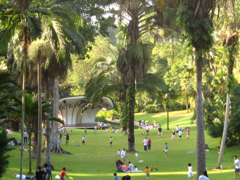 新加坡植物園 Singapore Botanic Gardens