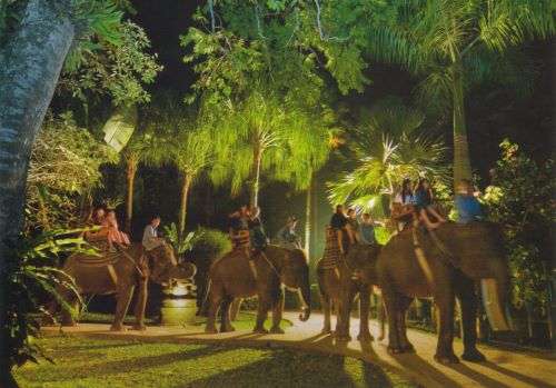 新加坡夜間野生動物園 Night SafariSingapore