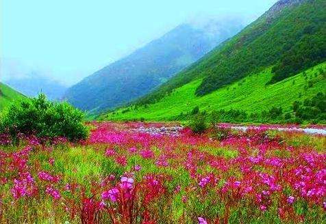 大喜馬拉雅山脈國家公園 Great Himalayan National Park