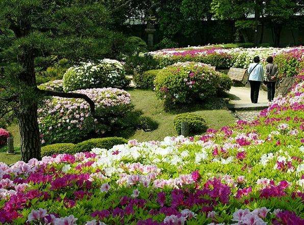 相樂園 Sorakuen Garden