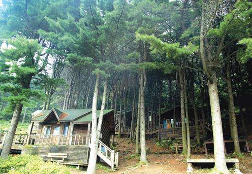 祝靈山自然休養林 Chukryong Natural Forest