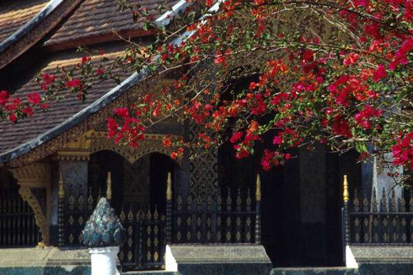香通寺 Wat Xieng Thong