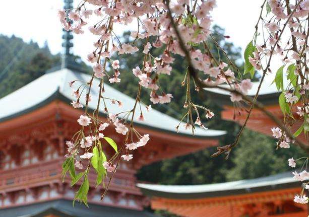 延曆寺 Enryaku-ji