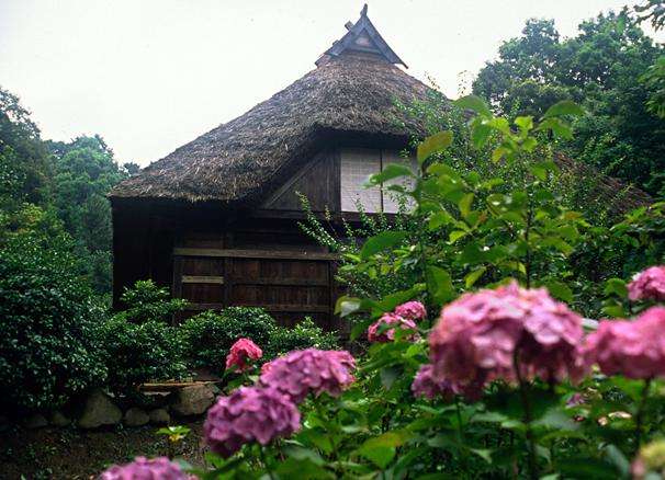 日本民居園 Nihon Minkaen