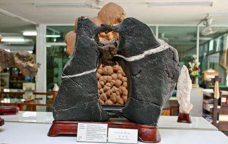 泰國奇石館 Rare Stone Museum