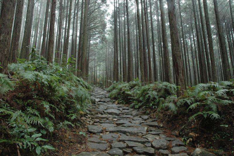 紀伊山地的聖地與參拜道 Sacred Sites and Pilgrimage Routes in the Kii Mountain Range