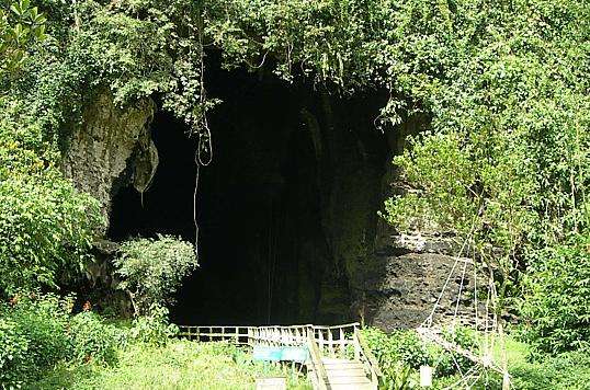 哥曼東洞穴 Gomantong Caves
