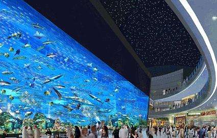 迪拜水族館 Dubai Aquarium