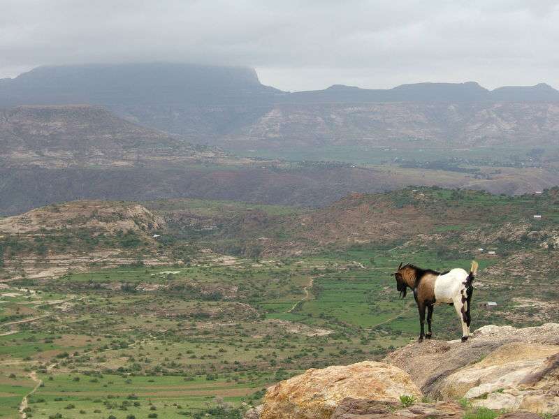 衣索比亞高原 Ethiopian highlands