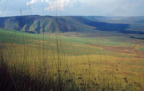 巴泰凱高原 Bateke Plateau