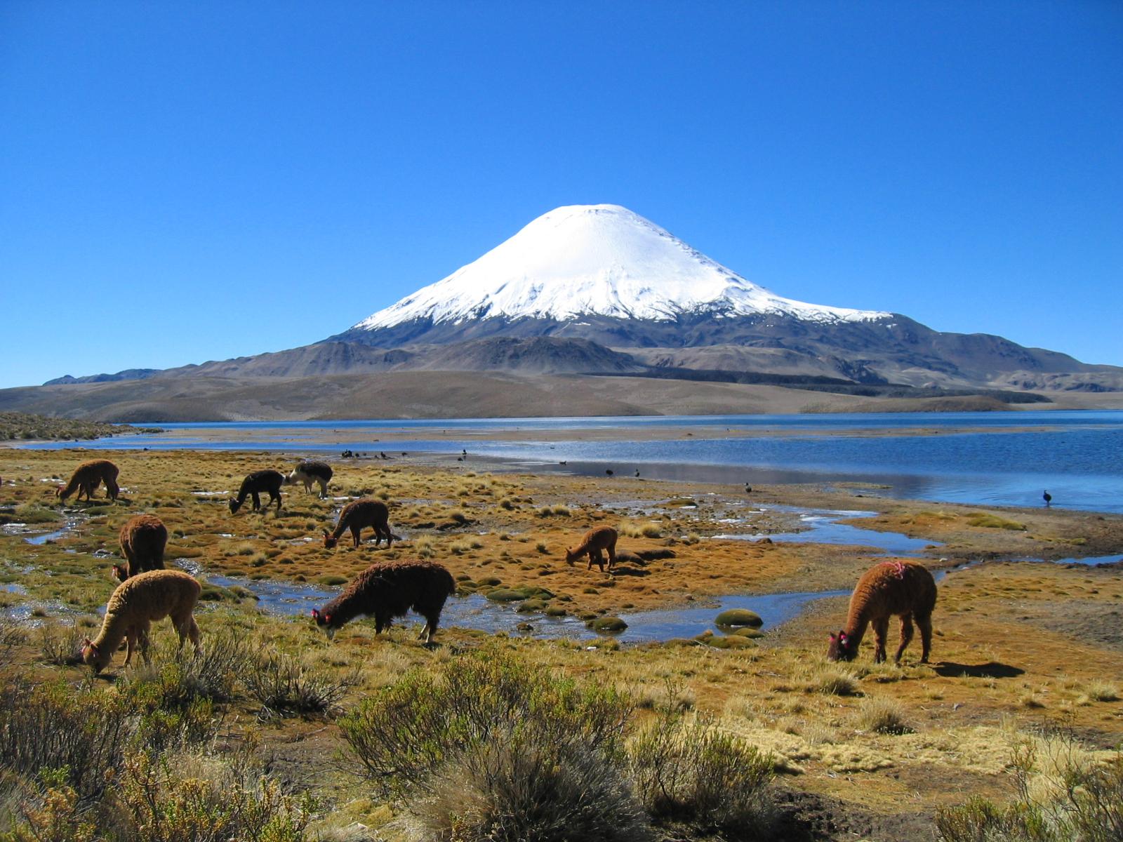 帕伊內角峰 Parinacota Volcano