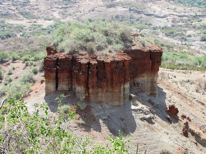 奧杜瓦伊峽谷 Olduvai Gorge