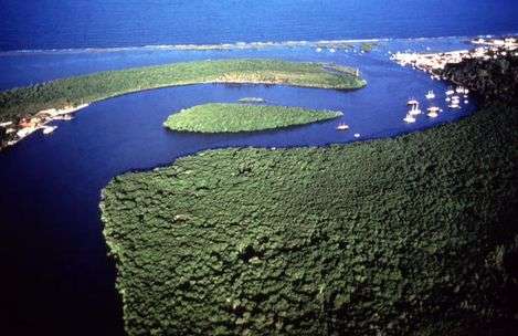 大西洋沿岸熱帶雨林保護區 Discovery Coast Atlantic Forest Reserves
