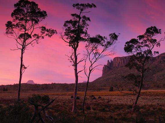 塔斯馬尼亞荒原 Tasmanian Wilderness
