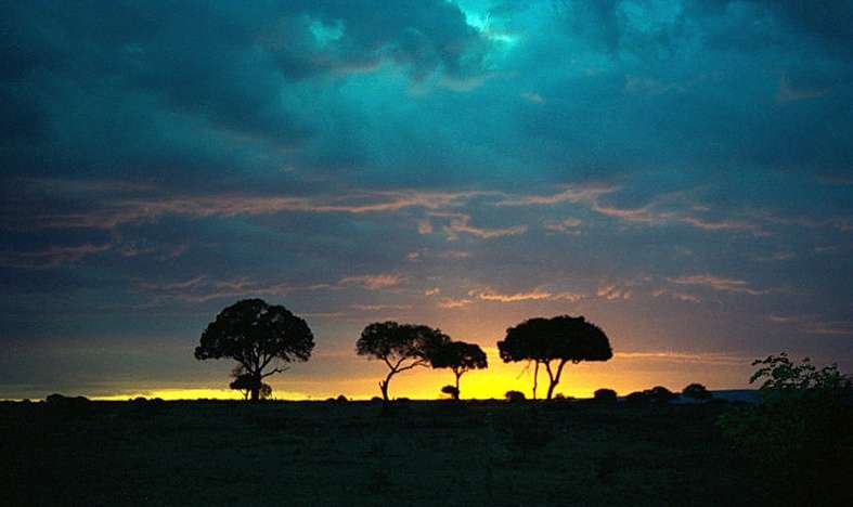 馬賽馬拉國家野生動物保護區 Maasai Mara National Reserve