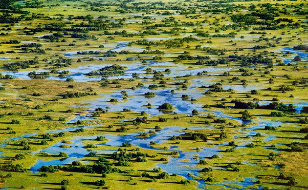 奧卡萬戈三角洲 Okavango Delta