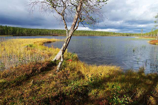 烏爾霍凱科寧國家公園 Urho Kekkonen National Park