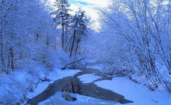 雪河 Snowy River