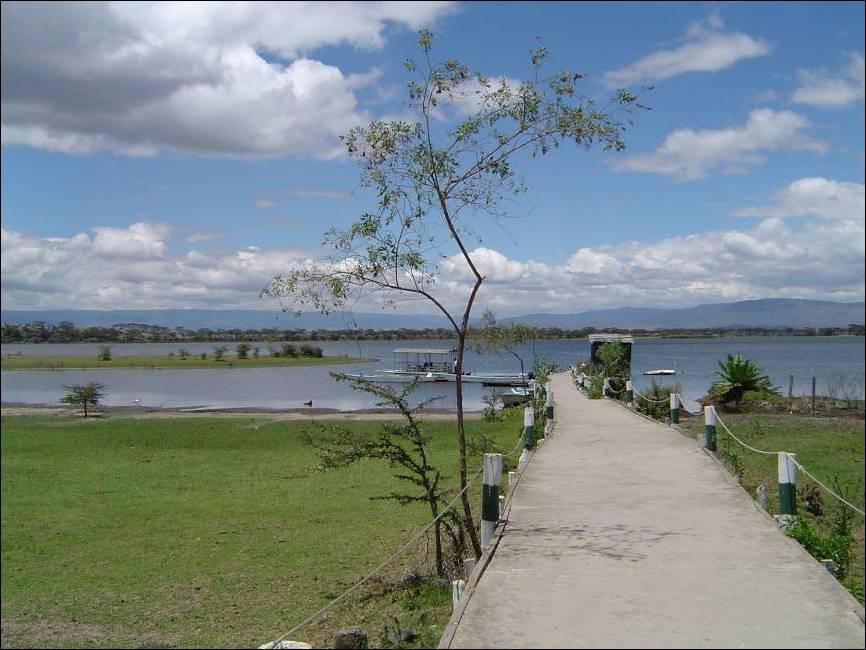 肯亞東非大裂谷的湖泊系統 Kenya Lake System in the Great Rift Valley