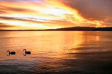 羅托魯阿湖 Lake Rotorua
