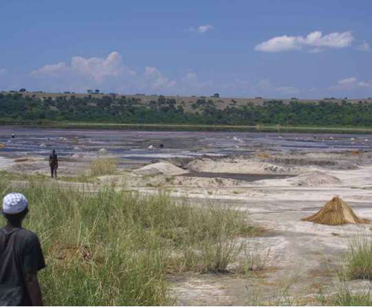 烏干達喬治湖 Lake George Uganda