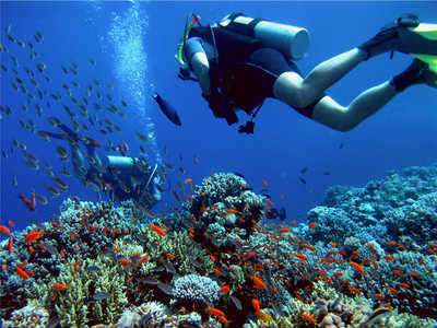 珊瑚海 Coral Sea