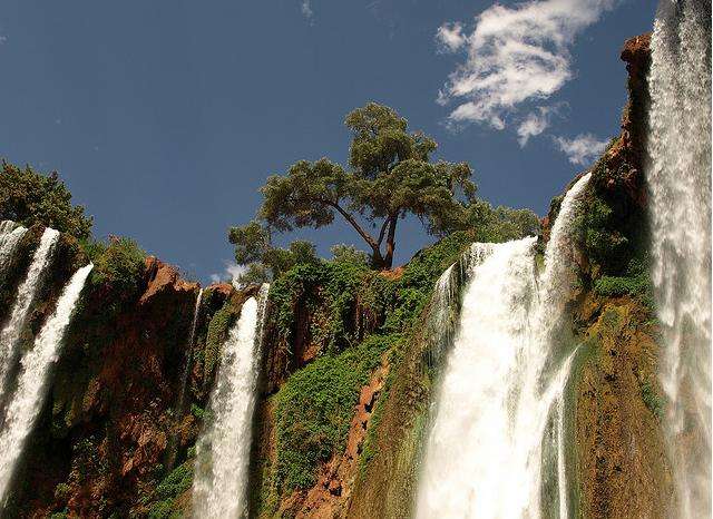 橄欖樹瀑布 Ouzoud Falls