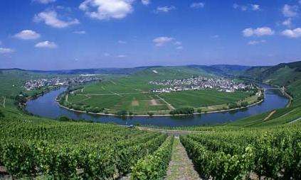 摩澤爾河 Moselle River