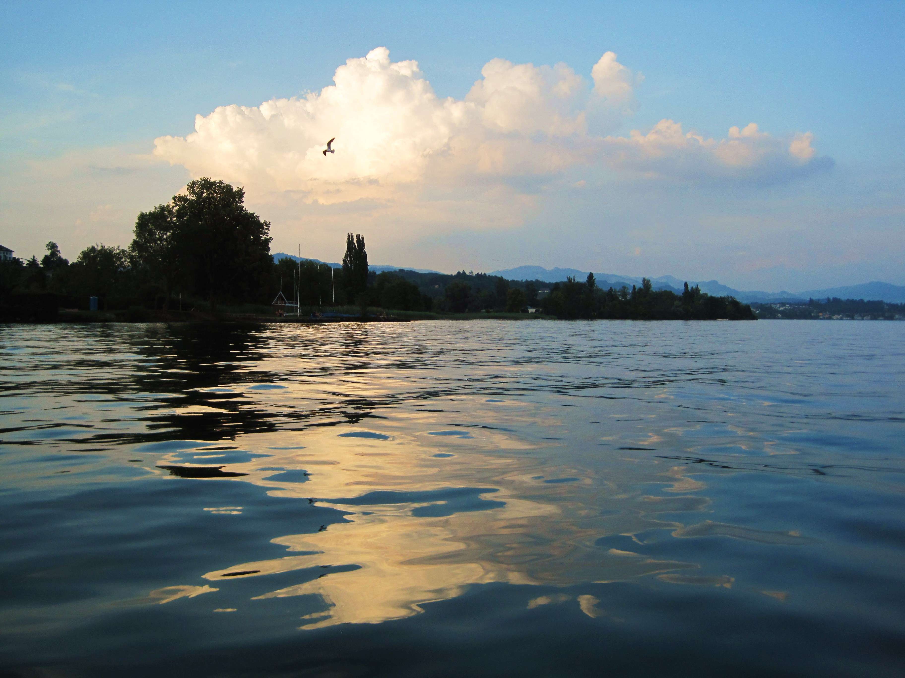 蘇黎世湖 Lake Zurich