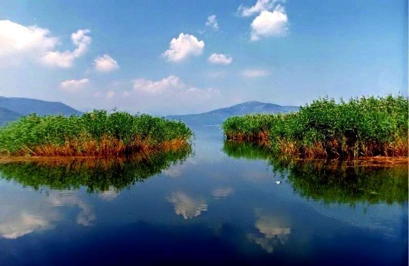 普雷斯帕湖 Lake Prespa