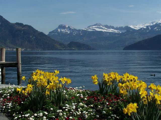 琉森湖 Lake Lucerne