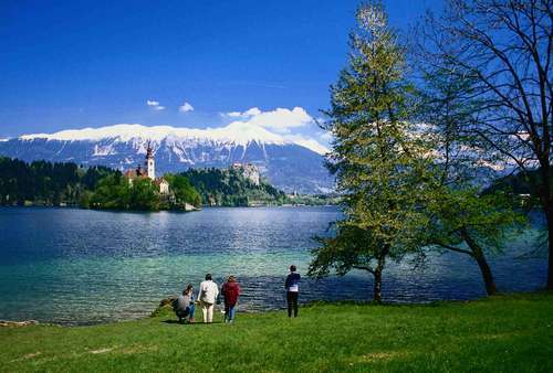 布萊德湖 Lake Bled