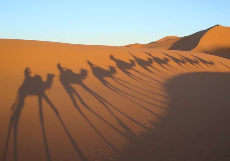 撒哈拉沙漠 Sahara Desert