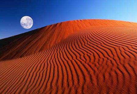 卡拉哈裡沙漠 Kalahari Desert