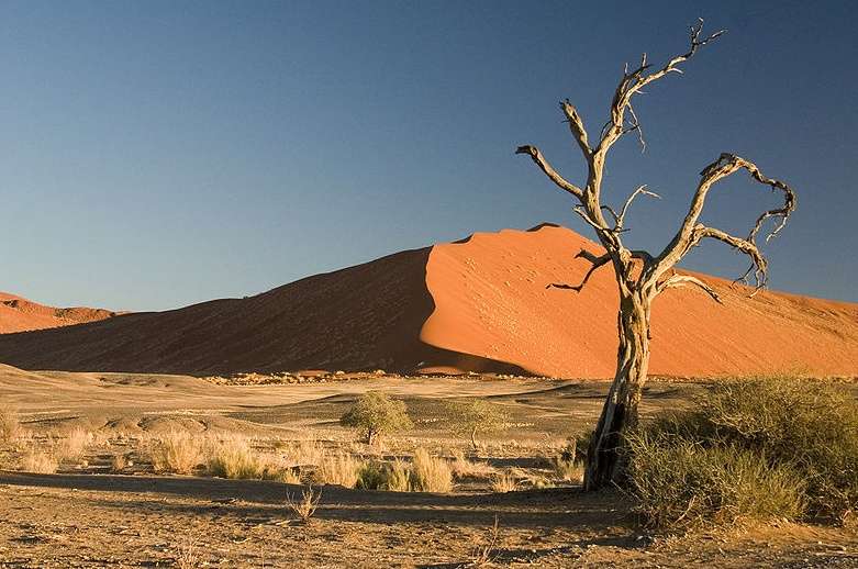 納米布沙漠 Namib Desert
