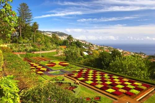 豐沙爾 Funchal