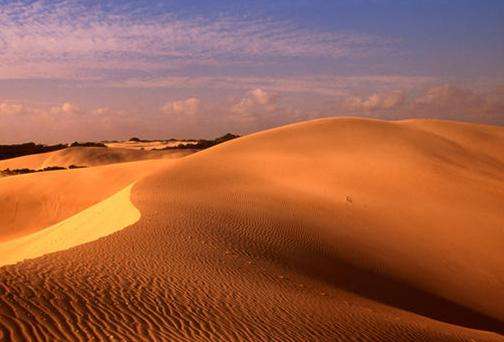 小撒哈拉沙漠 Little Sahara Kangaroo Island