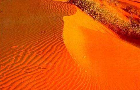 辛普森沙漠 Simpson Desert