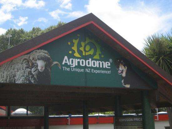 愛歌頓牧場 Agrodome