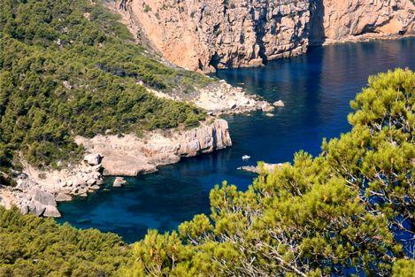 伊維薩島的生物多樣性和特有文化 Ibiza Biodiversity and Culture