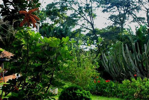 阿布裡植物園 Aburi Botanical Gardens