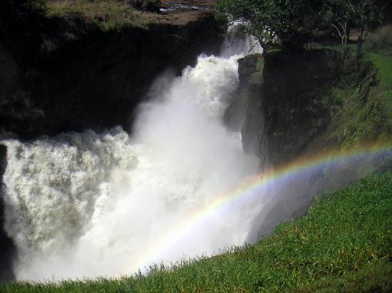 默奇森瀑布國家公園 Murchison Falls National Park