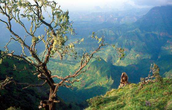 瑟門山國家公園 Simien Mountains National Park