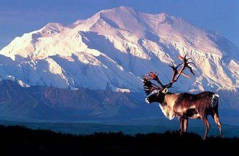 麥金利山 Mount McKinley