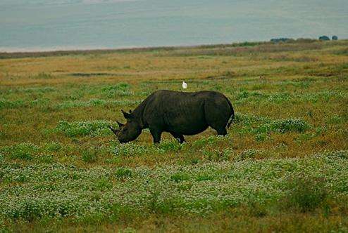 林波波國家公園 Limpopo National Park