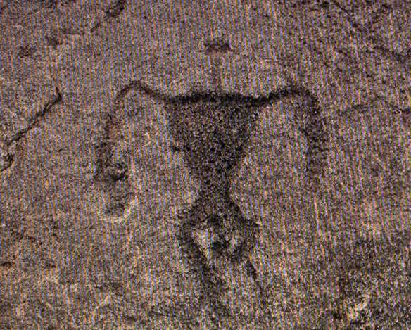 帕科岩畫考古保護區 Puako Petroglyph Archaeological Preserve