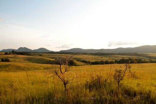 洛佩-奧坎德生態系統與文化遺跡景觀 Ecosystem and Relict Cultural Landscape of Lopé-Okanda