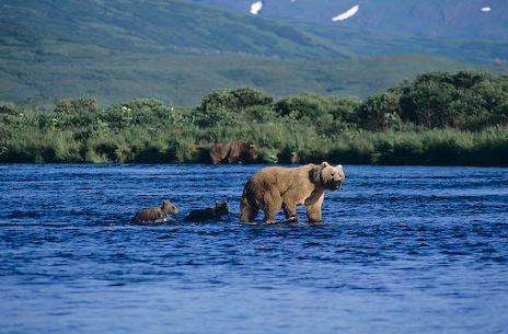 科迪亞克國家野生動物保護區 Kodiak National Wildlife Refuge